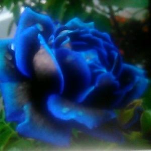 Meet your Posher, Don